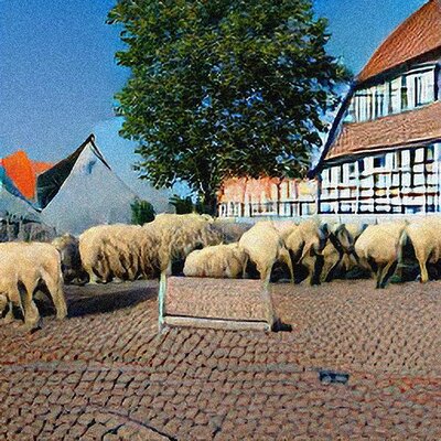 Schapen