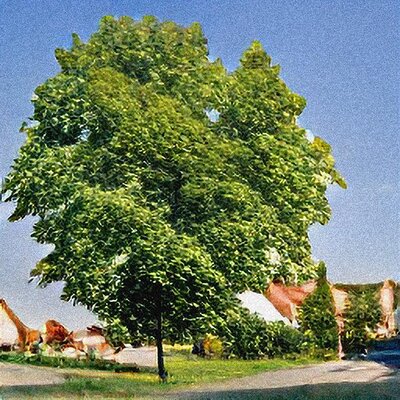 Haus in Neuhausen/Spree